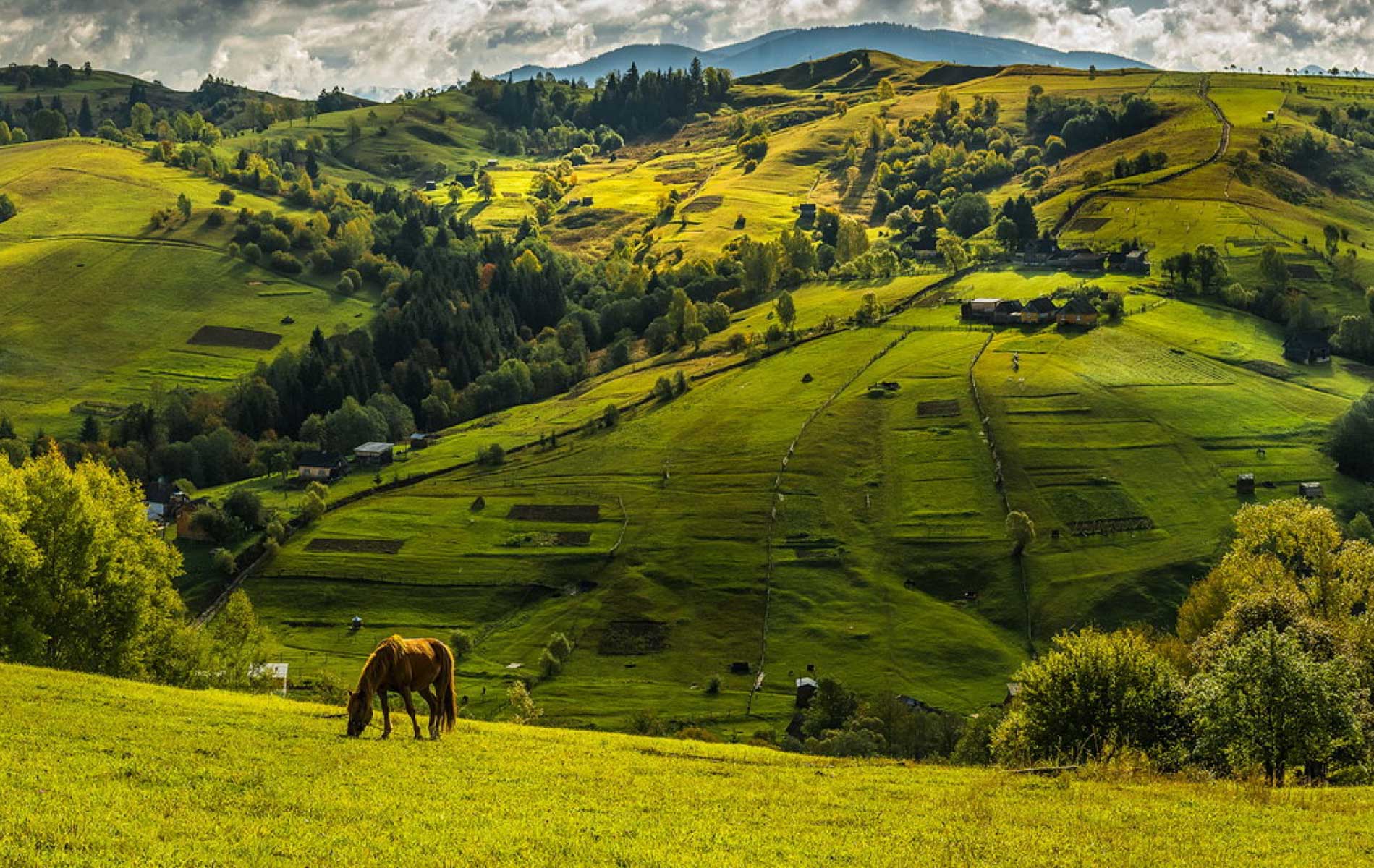 Гори фото гори укулеле