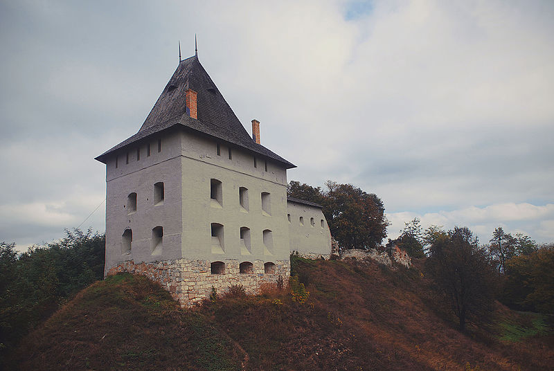 Галицький (Старостинський) замок на Галич-горі