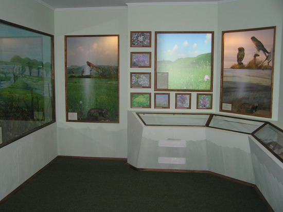 Експозиція музею "Природа Землі Галицької"