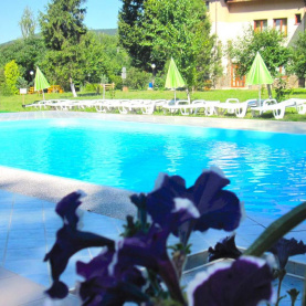 SPA готель SPA готель
