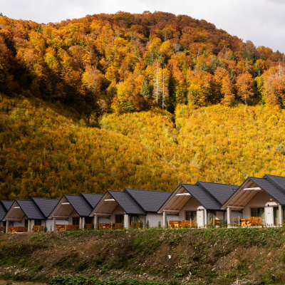 Котеджі Mizhhirya Mountain Resort