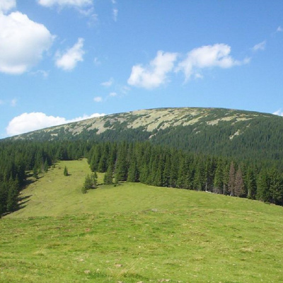 Гора Боярин (Короткан)