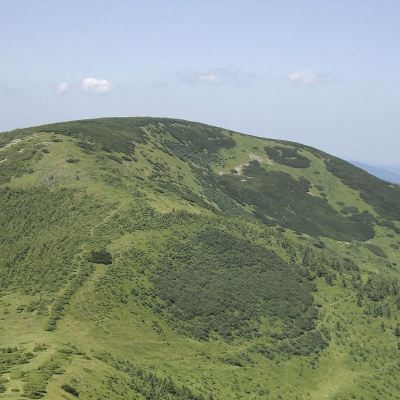 Гора Дурня