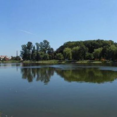 Міське озеро в Коломиї