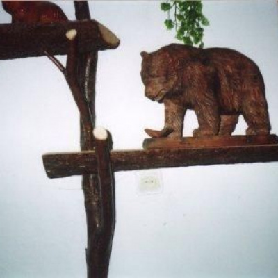 Музей бурого ведмедя