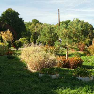 Парк 'Арборетум' – пам’ятка садово-паркового мистецтва, Болехів