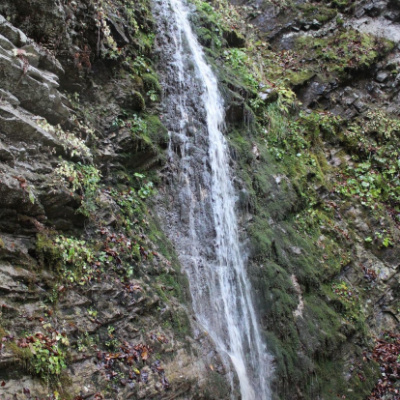 Водоспад Сич (Буковинські водоспади)