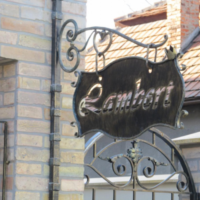 Родинний маєток 'Lambert' Берегове